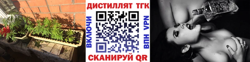 Купить где  Аргун  Дистиллят ТГК концентрат 