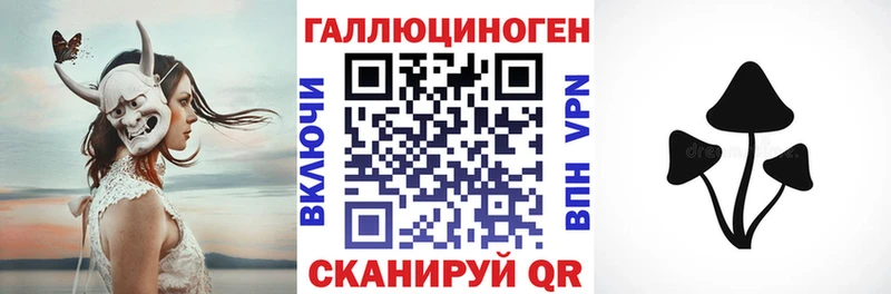 Псилоцибиновые грибы Psilocybine cubensis Купить закладки Аргун